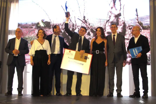 gala de entrega de premios cedma 2025 67