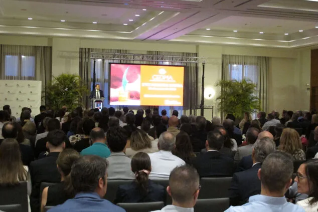 gala de entrega de premios cedma 2025 84