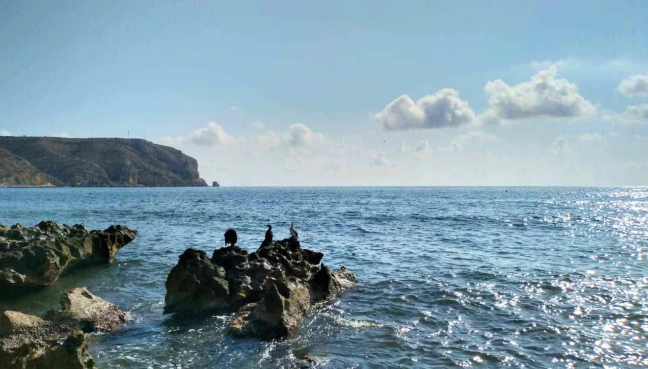 Vistas al mar desde el Restaurante Pepe y Estrella