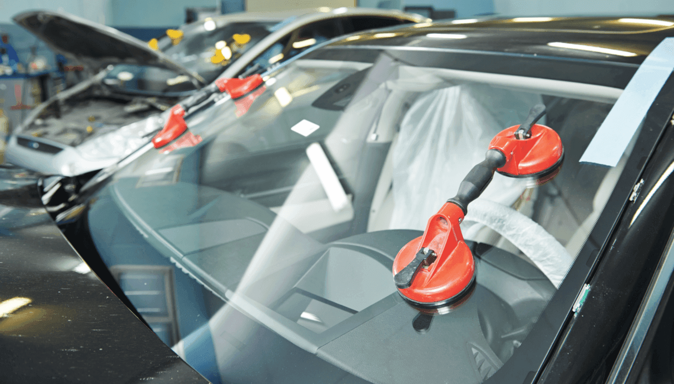 Armonía entre cuerpo y mente en cada movimiento