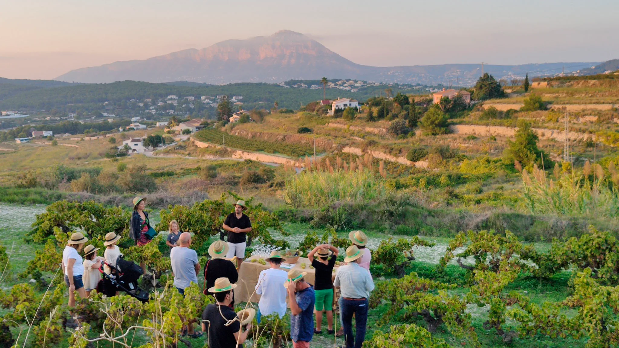 catas de vino de proximidad en tasta lestiu de
