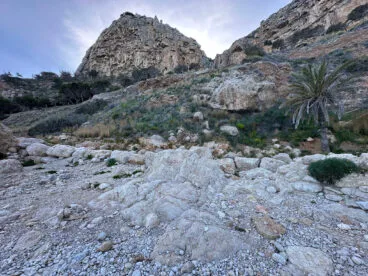 Entorno y flora de la cala del Moraig de Benitatxell