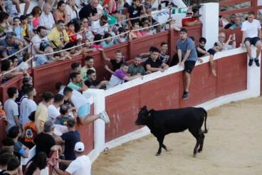 plaza de toros de ondara el dia de sant jaume en 2024