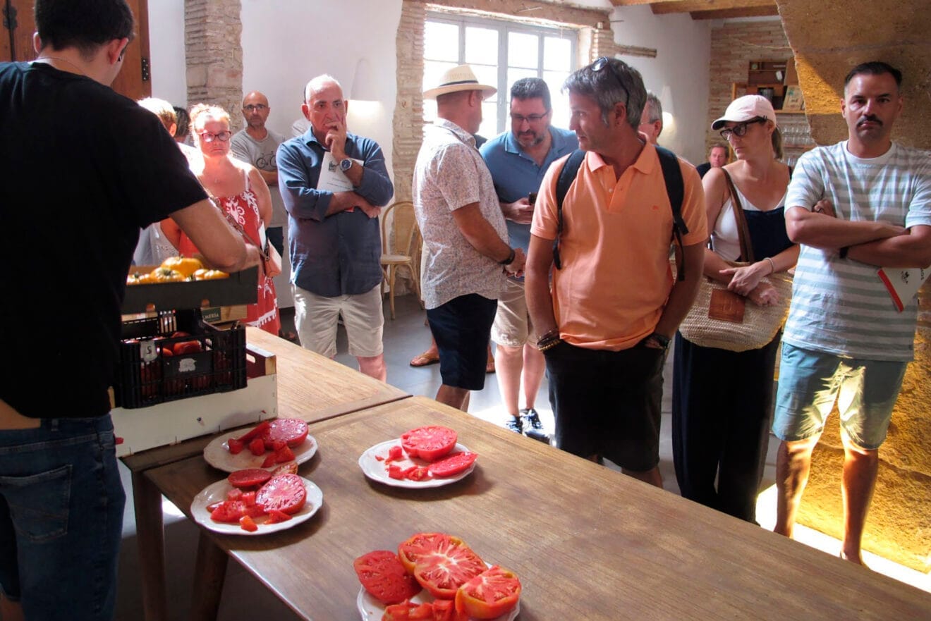 Concurso La millor tomaca de La Marina 2025 01