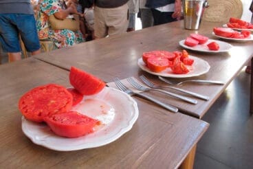 Concurso La millor tomaca de La Marina 2025 08