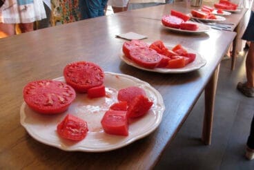 Concurso La millor tomaca de La Marina 2025 11