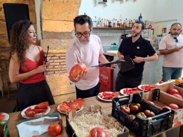 Concurso La millor tomaca de La Marina 2025 51