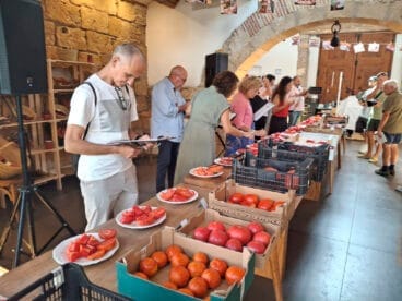 Concurso La millor tomaca de La Marina 2025 53