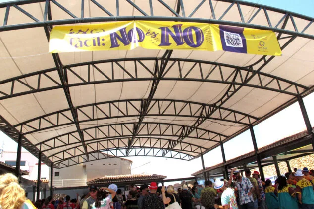 dia de les quintades de pedreguer 2025 60