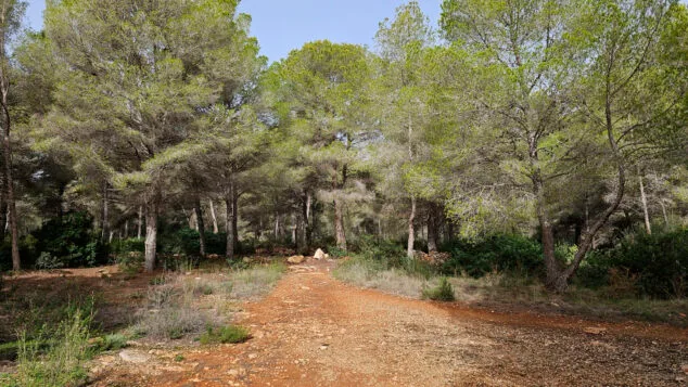 Calp inicia la tramitación para proteger su «gran pulmón verde» y obtener suelo dotacional 1 Imagen: Espacio verde en Calp