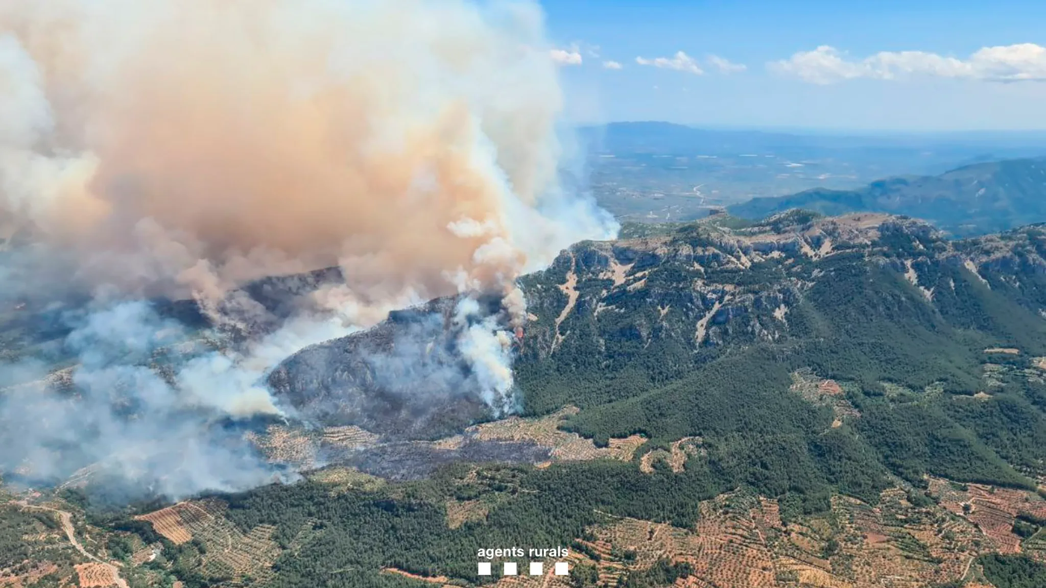 incendio forestal en pauls provincia de tarragona