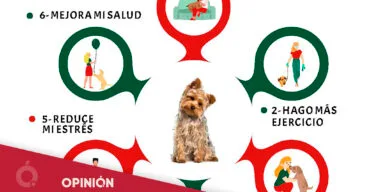 Infografía de AMADEM sobre ‘Beneficios de tener un perrito en casa’ (opinión)