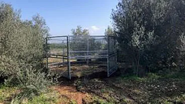 jaulas de videovigilancia de gran formato para la captura de jabalies archivo