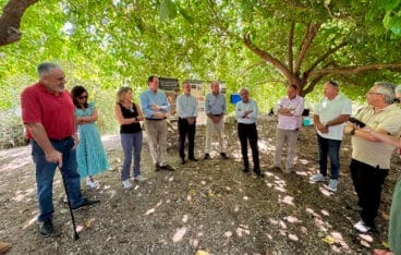 Recepción de las águilas pescadoras al Parque Natural de la Marjal Pego-Oliva