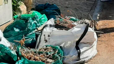 restos de poda en teulada moraira