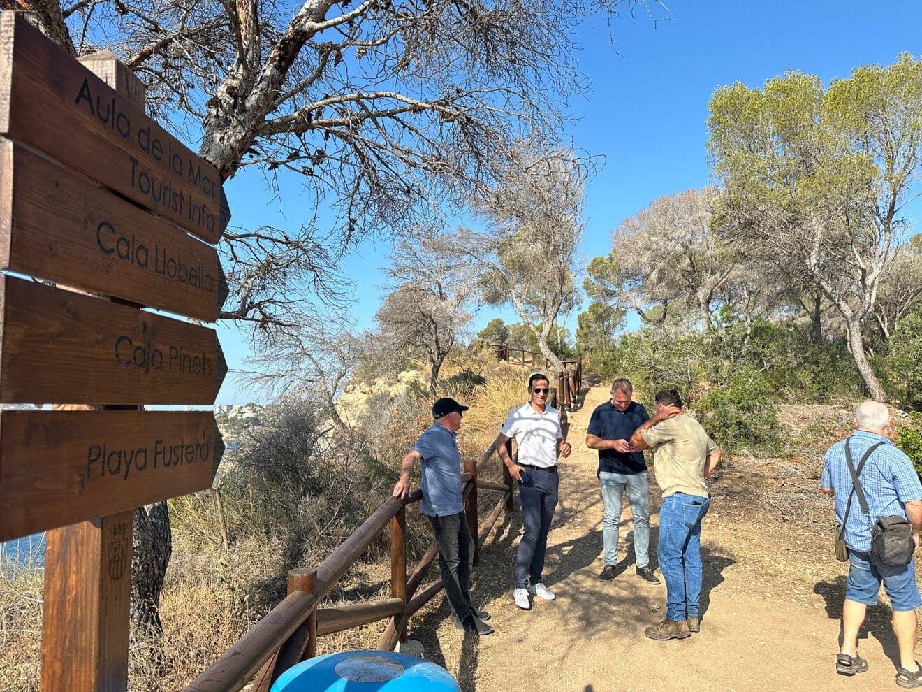 Zona del Cantalar de Benissa donde se han retirado los pinos afectados por el Tomicus