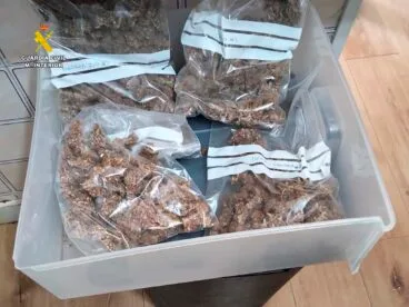 Bolsas de plástico con cogollos listos para su distribución en Pedreguer