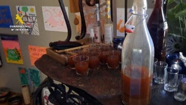 Brebajes encontrados para los retiros de ayahuasca en Pedreguer