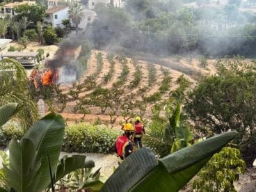 Brand auf einem Grundstück in Teulada