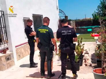 La Guardia Civil y la Policía Local de Pedreguer en la intervención de la plantación