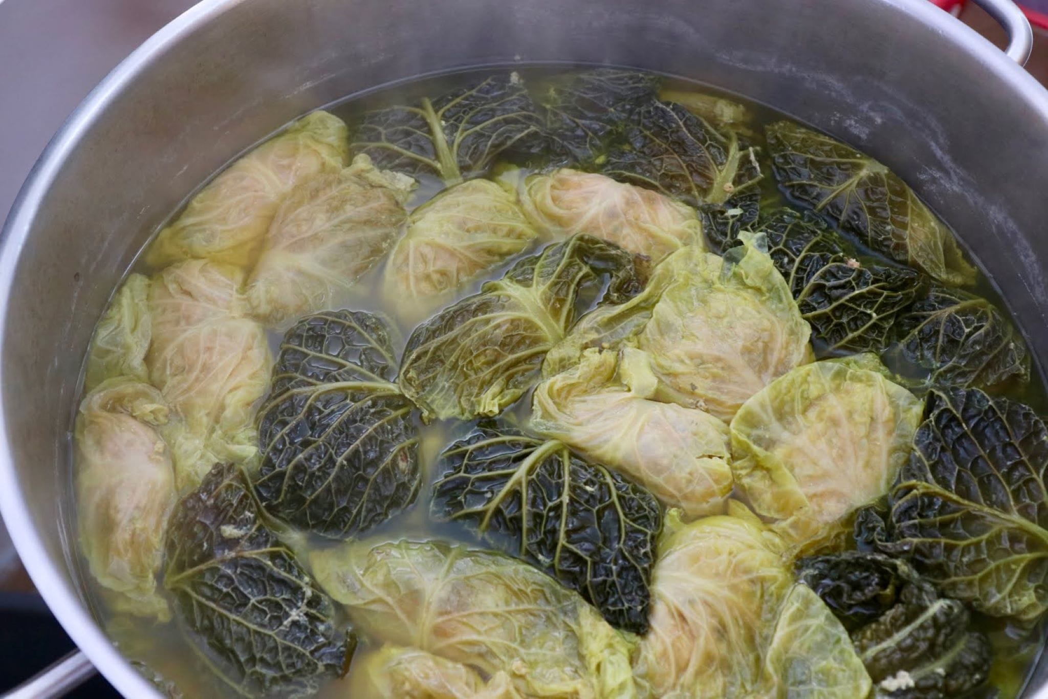 pilotes de putxero de senija