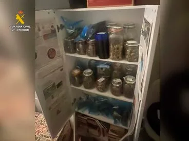 tarros hermeticos con cogollos secos de marihuana en pedreguer