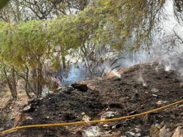 Brandgebiet in Teulada