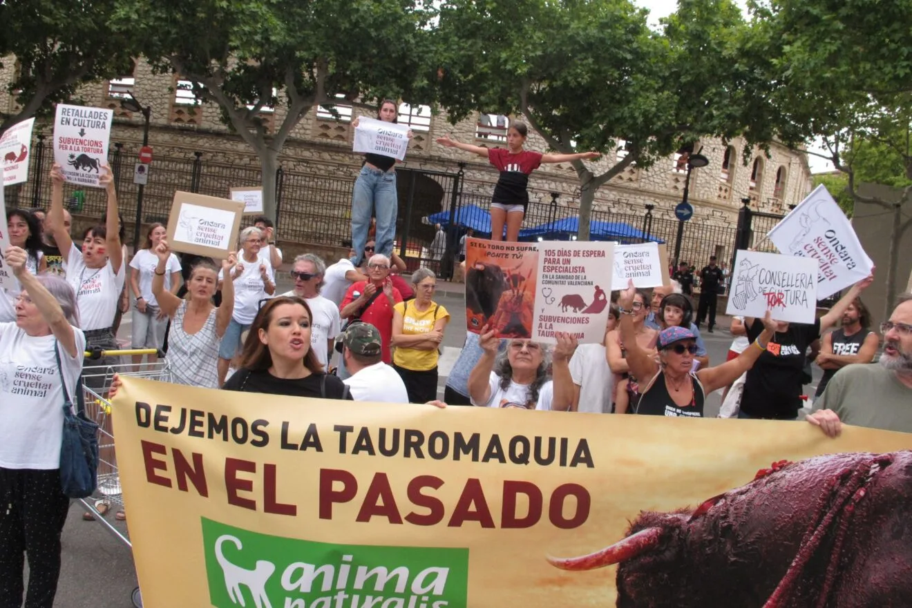 Teilnehmer der Anti-Stierkampf-Demonstration