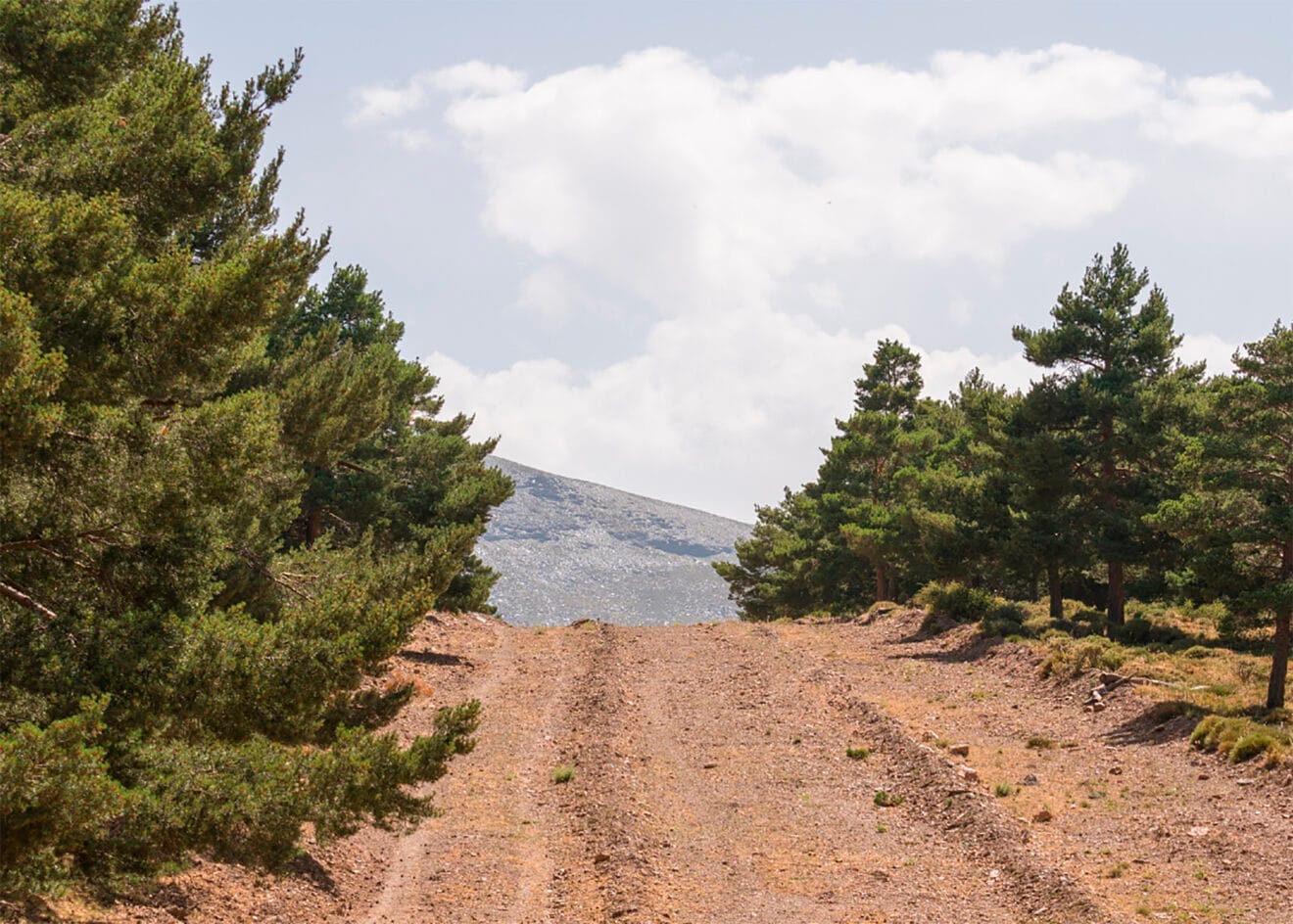 Camino en Teulada Moraira