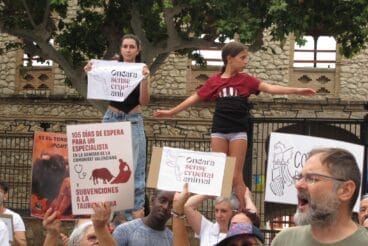 Plakate und Muixeranga gegen Stierkämpfe in Ondara