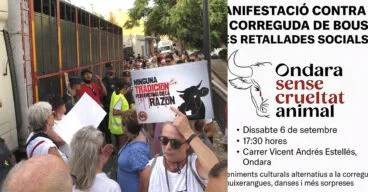 manifestacion de ondara sense crueltat animal el 6 de septiembre
