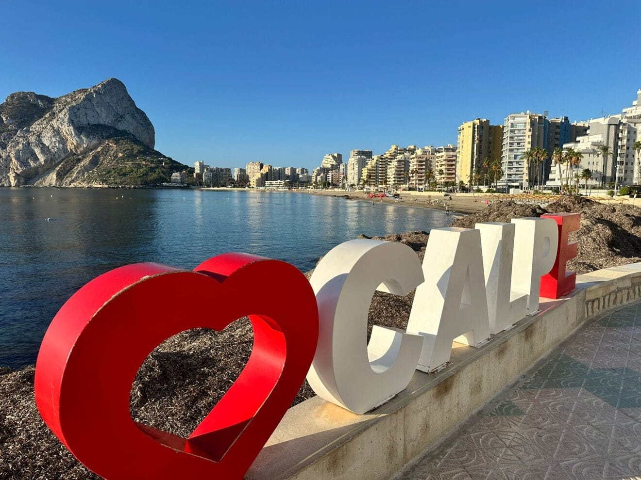 Strand von Calp mit Posidonia