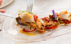 una cita imprescindible con los sabores de siempre con restaurant noguera en casa meua els magazinos