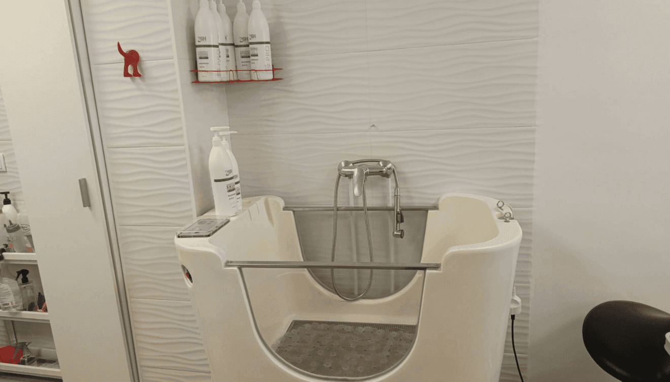 Baño y corte de pelo profesional para perros en Pèls & Go Pego