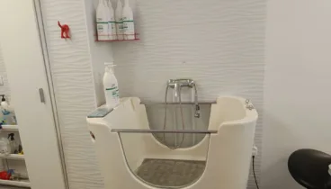 Baño y corte de pelo profesional para perros en Pèls & Go Pego
