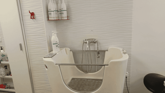 bano y corte de pelo profesional para perros en pels go pego