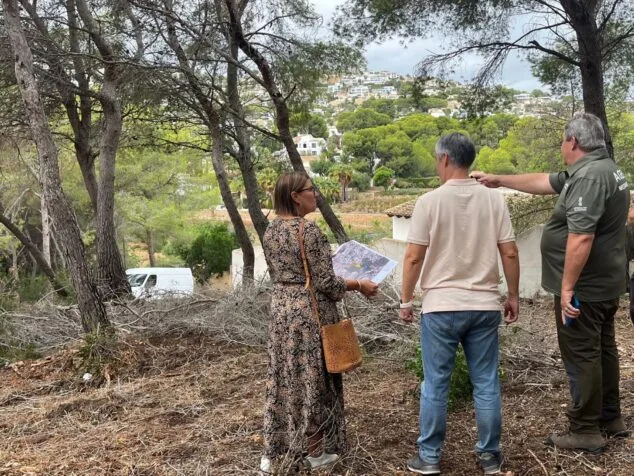 Teulada Moraira refuerza la prevención de incendios en Tabaira 1 Imagen: El Ayuntamiento de Teulada refuerza la prevención de incendios forestales con trabajos sivícolas en la Urbanización Tabaira