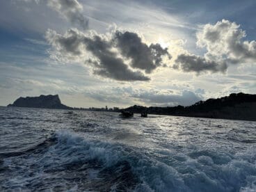 Jornada de One Health 4 Cities en Benissa 12