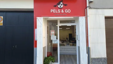 Peluquería canina en Pego con trato cariñoso para perros felices
