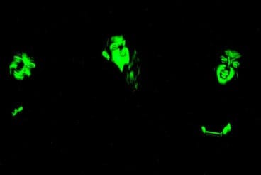 Persianes amb Art 2025 en Els Poblets08