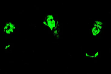 Persianes amb Art 2025 en Els Poblets08