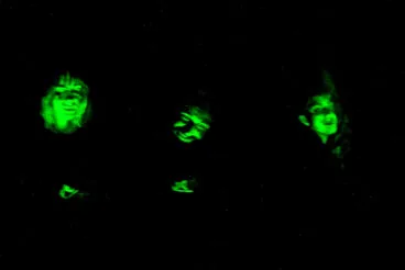 Persianes amb Art 2025 en Els Poblets09