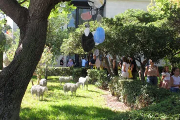 Persianes amb Art 2025 en Els Poblets28