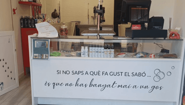 Imagen: Profesionales de peluquería canina en Pego amantes de los animales