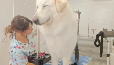 Tu mascota siempre se verá bien en manos de Pèls & Go