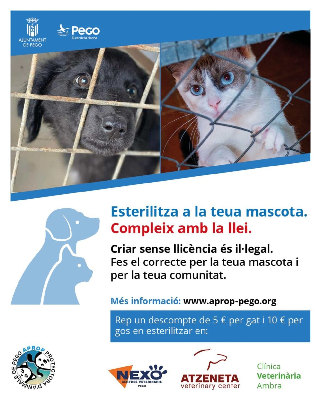 Campaña de Esterilización APROP de Pego