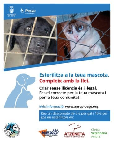 Campaña de Esterilización APROP de Pego