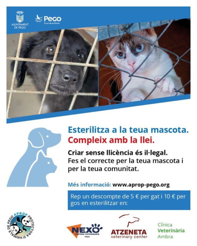 Imagen: Campaña de Esterilización APROP de Pego