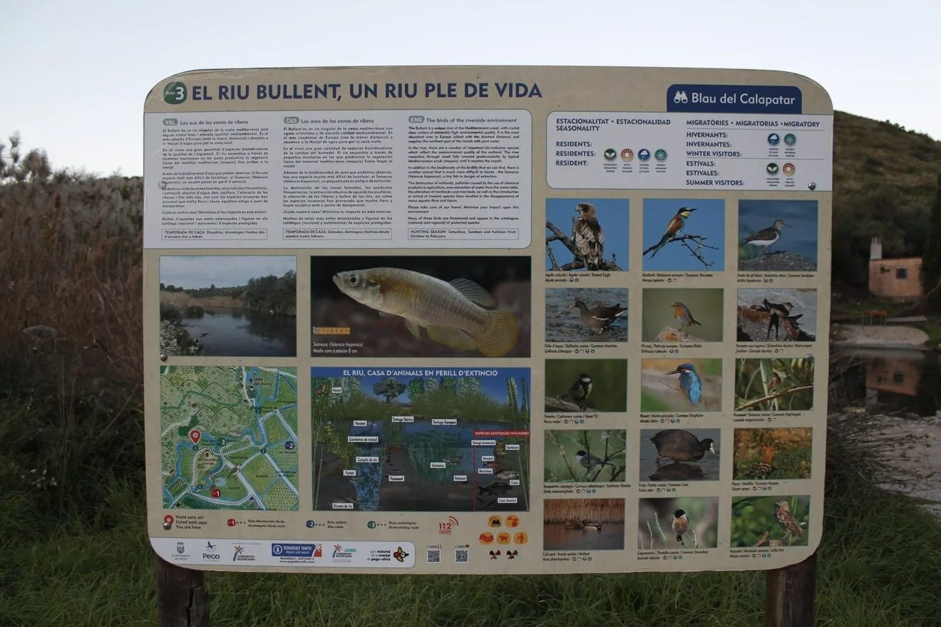 Cartel informativo de aves y especies de la Marjal de Pego (archivo)