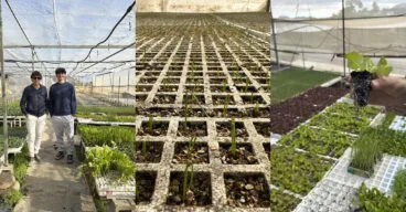 El ‘banco comarcal de semillas’ en la Marina Alta, Viveros Parra y su labor en la comarca